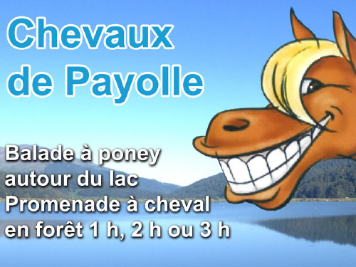 Lien vers la page des chevaux de Payolle