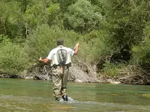 Lien vers la page de l'association Pêche Sportive Pyrénées